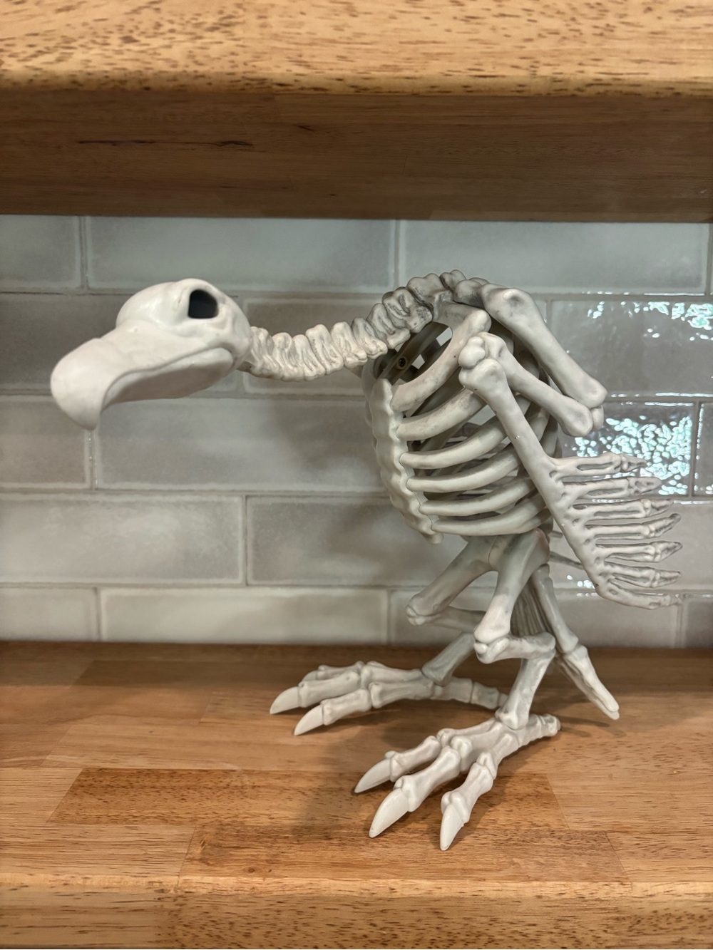 White Vulture Faux Skeleton Halloweeen Decor